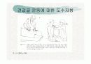 견관절과 견갑대 53페이지