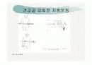 견관절과 견갑대 68페이지