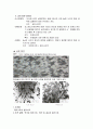 금속재료 열처리 담금질(Quenching) 풀림(Annealing)  4페이지