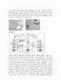 금속재료 열처리 담금질(Quenching) 풀림(Annealing)  6페이지