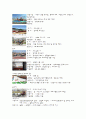 부산경남경마공원 분석 4페이지
