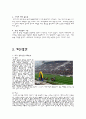 부산경남경마공원 분석 28페이지