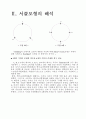 salop의 서클모형 4페이지