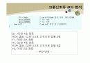 8051 교통신호등 세미나발표 8페이지