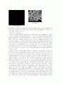 패션 신소재에 관한 레포트  7페이지