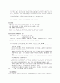 미스터피자 마케팅전략 12페이지