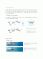 수영동작 평영(Breaststroke)  1페이지