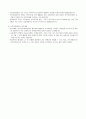 지방자치의 쟁점과 지역NGO 4페이지