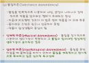  물질사용과 관련된 장애 3페이지