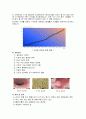 대장암[Colon ca]의 진단과 치료 3페이지