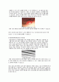 대장암[Colon ca]의 진단과 치료 7페이지