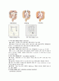 대장암[Colon ca]의 진단과 치료 12페이지