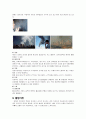 COPD(만성 폐쇄성 폐질환) 4페이지