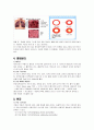 COPD(만성 폐쇄성 폐질환) 5페이지