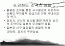 강화도 조약 16페이지