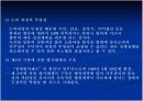외국 정부의 개혁 사례와 시사점 12페이지