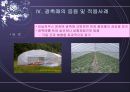 광촉매의 원리 효과와 기능 및 응용 및 적용사례  8페이지