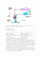 Parameter와 실제 현상 LD Scan Speed 비교 공작물과 CAD데이터와의 오차 분석 RP에 대한 전반적 조사 9페이지