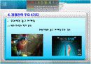 삼성PAVV TV 성공전략 17페이지