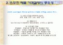 스포츠 경영 - 스포츠가격 10페이지