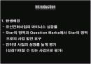 KT 한국통신 마케팅 성공사례 - 메가패스 5페이지