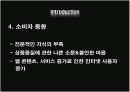 KT 한국통신 마케팅 성공사례 - 메가패스 9페이지