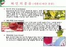 와인이야기 3페이지