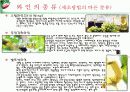와인이야기 5페이지