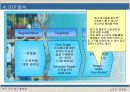 한국 프로배구 활성화 방안 10페이지