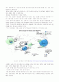 한․미 FTA로 바라본 우리나라의 FTA 전망 4페이지