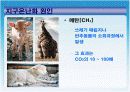 지구온난화 11페이지