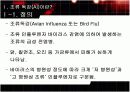 재난, 조류독감 4페이지