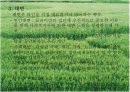 지역사회수준의 실천기술 6페이지