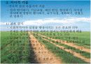 지역사회수준의 실천기술 8페이지
