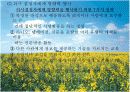 지역사회수준의 실천기술 12페이지