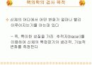 핵의학개론  7페이지