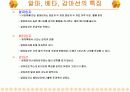 핵의학개론  42페이지