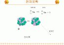 핵의학개론  66페이지