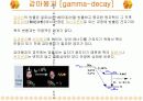 핵의학개론  68페이지