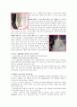 2009년 패션 트렌드(Fashion Trend) 분석과 전망 10페이지