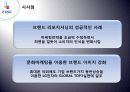 CYON 유럽시장 진출과 경영전략 22페이지
