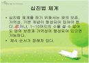 몬테소리 수학교육 19페이지