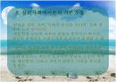 에릭슨의 심리 사회적 발달이론 5페이지