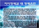 에릭슨의 심리 사회적 발달이론 12페이지