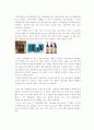 한국 헤어케어 시장 과 그 동향 및 전망(2002 - 2007)  12페이지