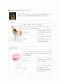 칵테일에 관한 조사 11페이지