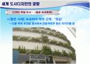 외국의 도시디자인 사례와 한국의 문제점과 발전방향 19페이지