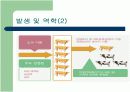 브루셀라 (Brucellosis in Cattle) 12페이지