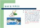 브루셀라 (Brucellosis in Cattle) 13페이지