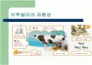 브루셀라 (Brucellosis in Cattle) 24페이지